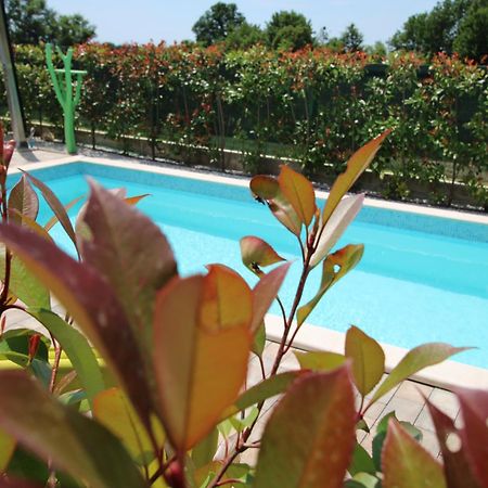 Apartments Green Garden Labinci Екстериор снимка