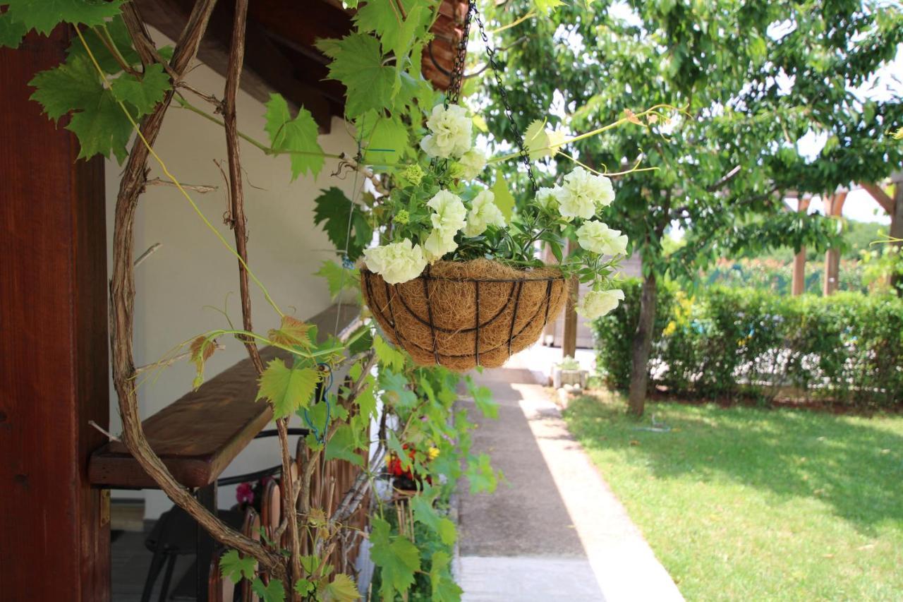 Apartments Green Garden Labinci Екстериор снимка